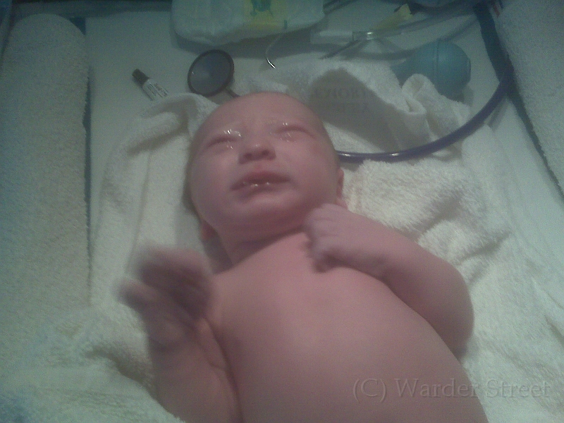 William's Birth 02.jpg